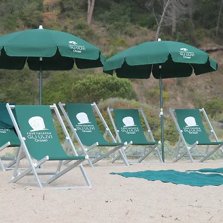 Gli Ulivi 4*